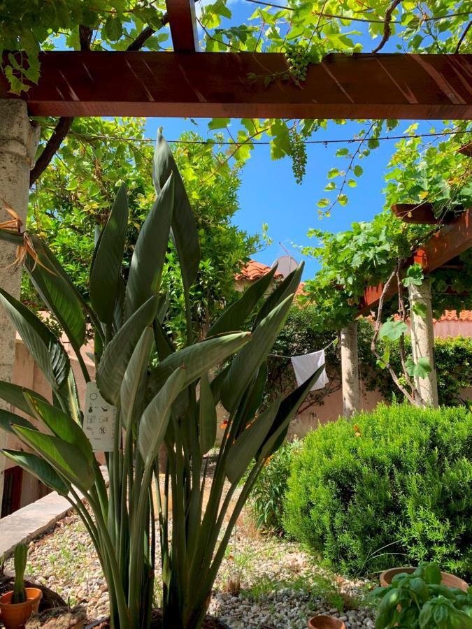 Holiday home Hedera Estate, House Hedera Vi